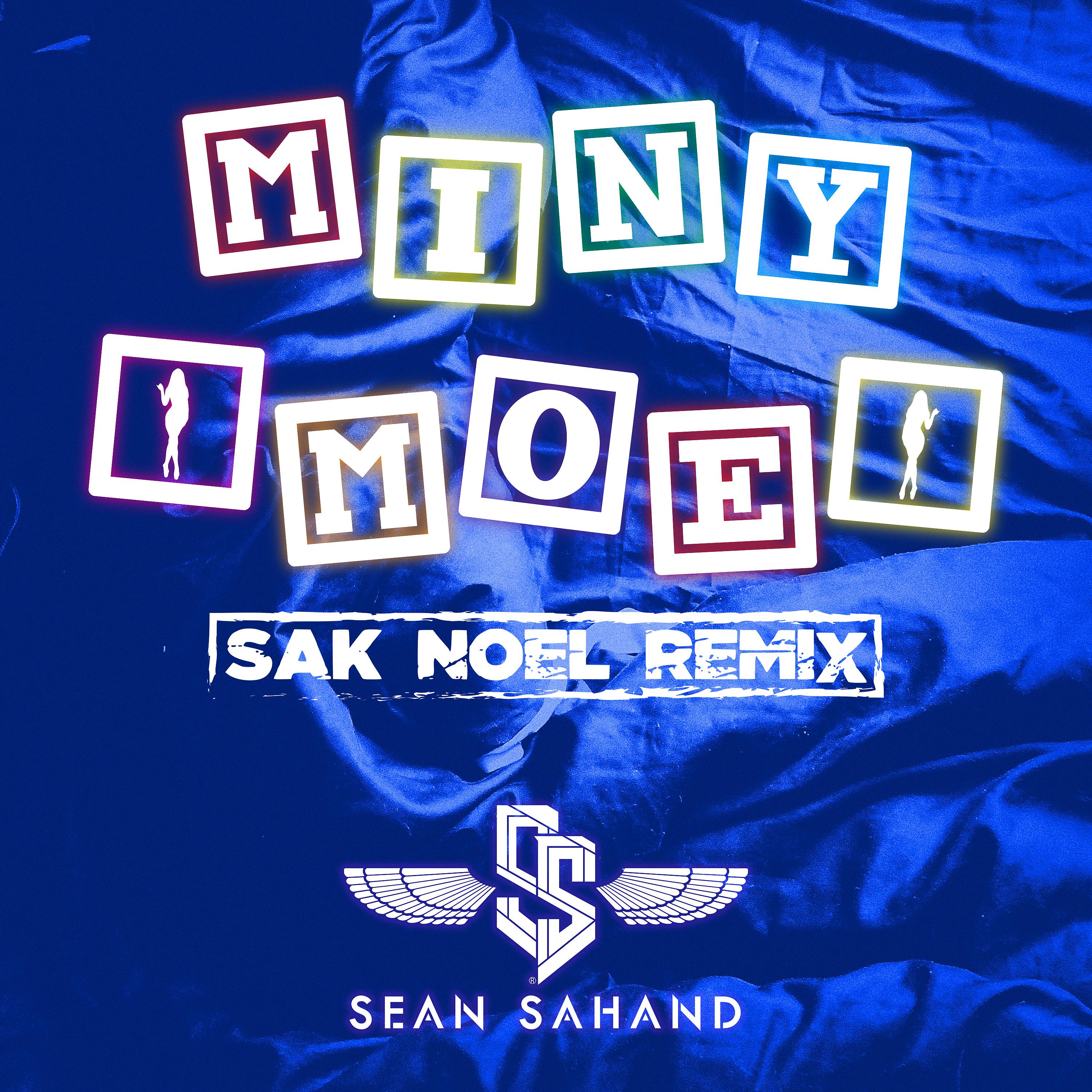 Постер альбома Miny Moe (Sak Noel Remix)