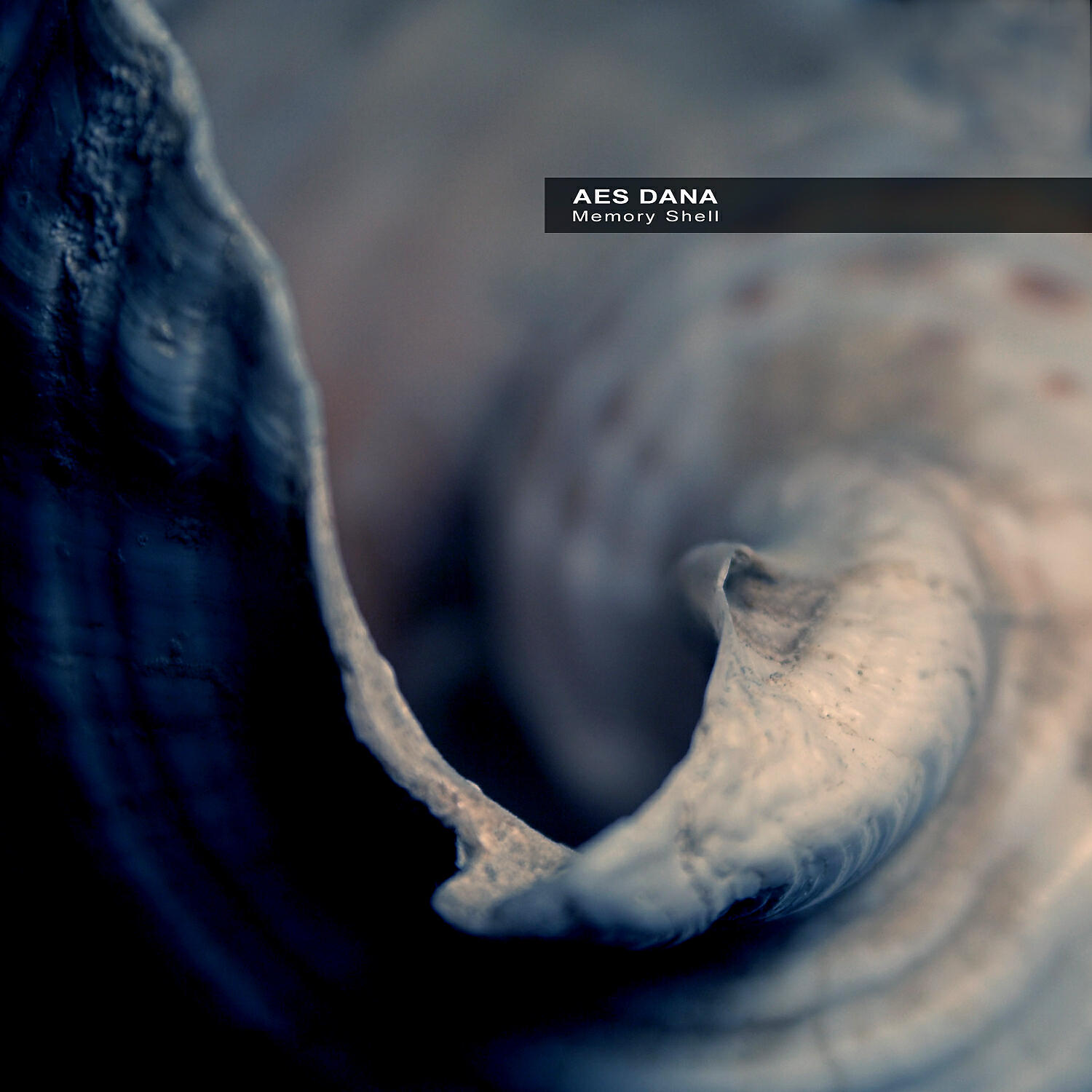 AES Dana - Shouting Valley