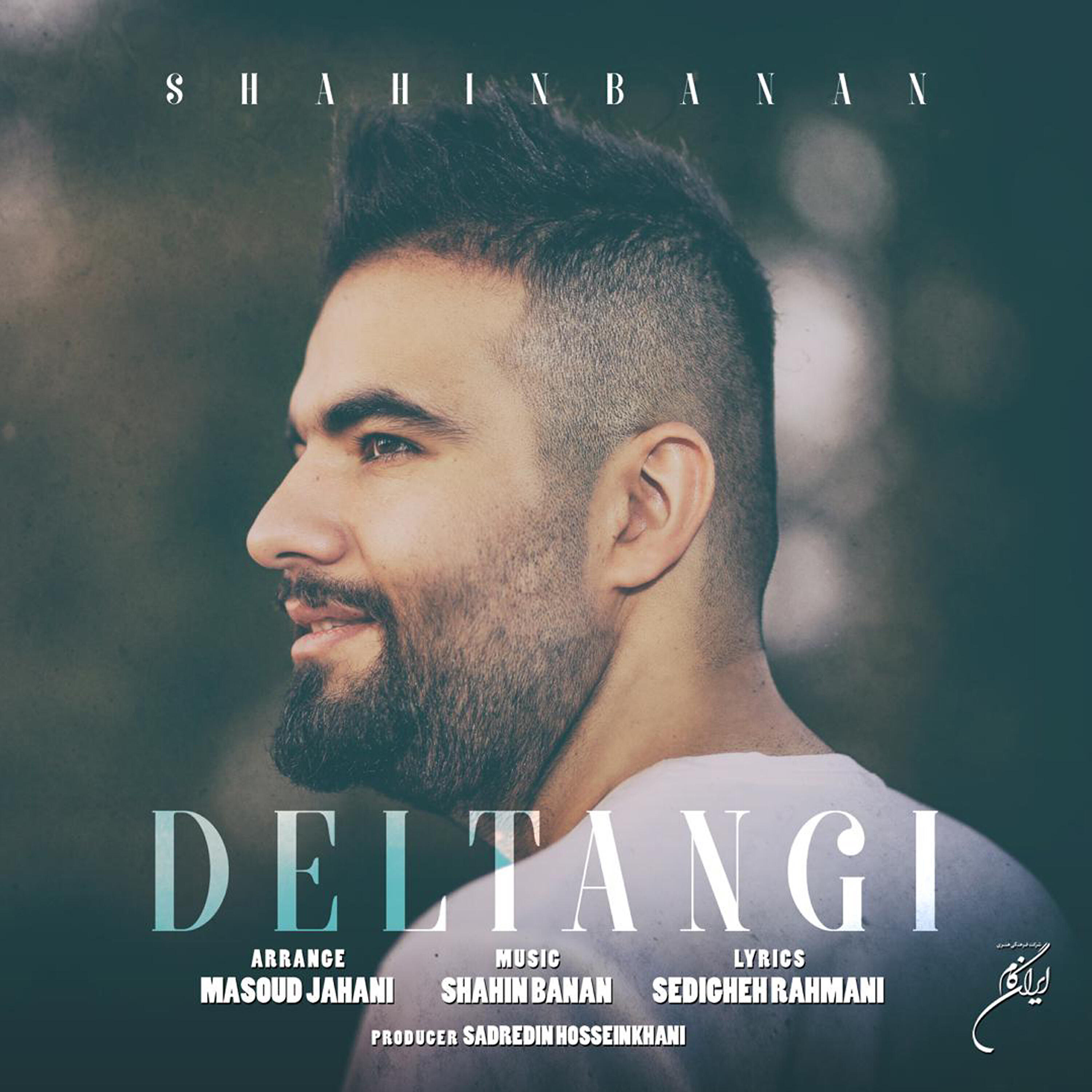 Shahin Banan - Deltangi - Shahin Banan