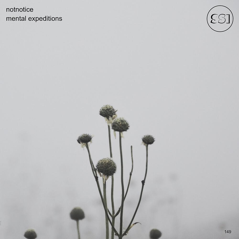 NotNotice - Mental Expedition Three (61°04'30.9N 164°32'46.4e)