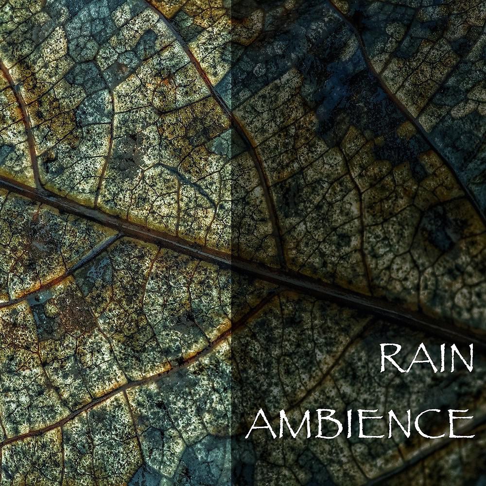 Постер альбома Rain Ambience