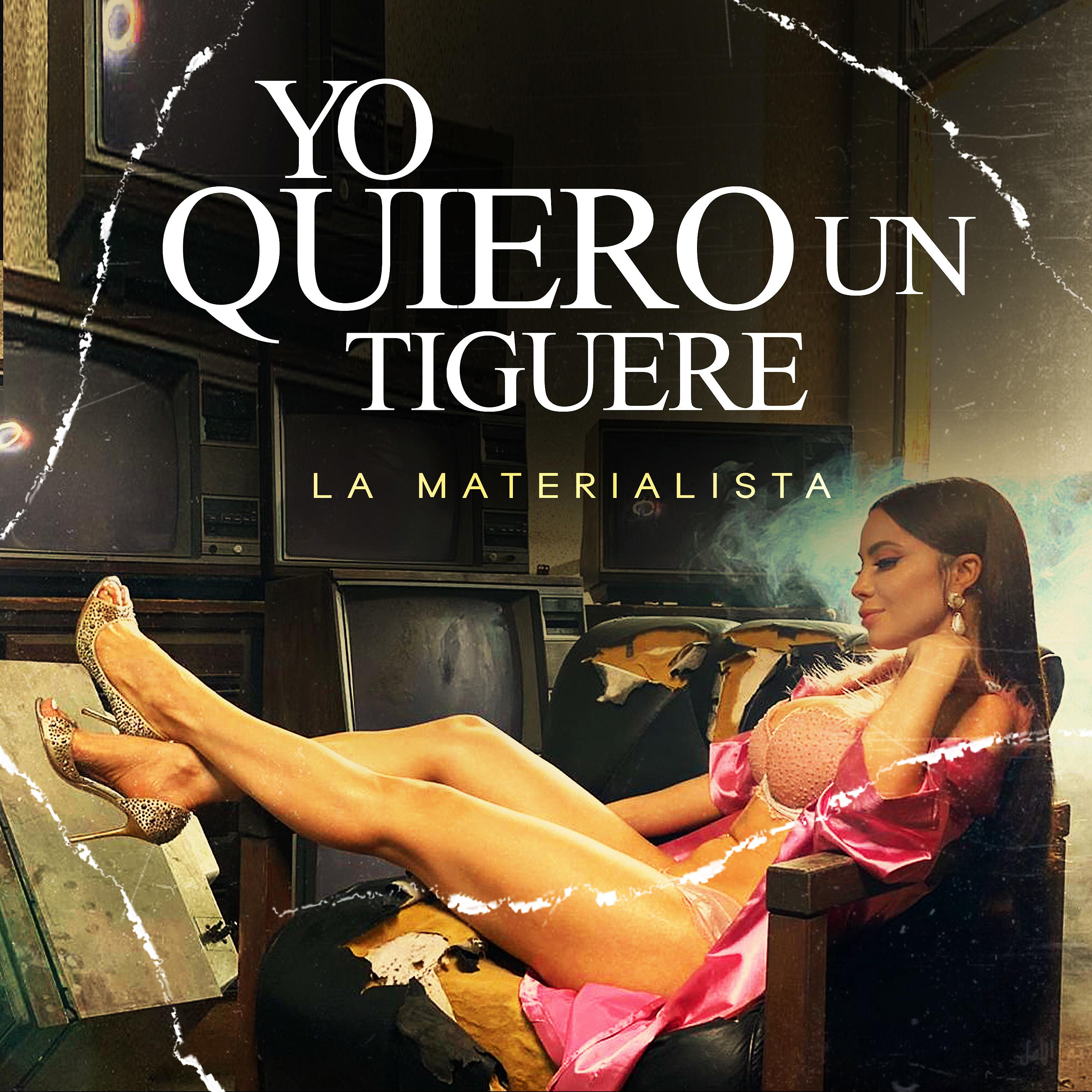 Постер альбома Yo Quiero un Tiguere