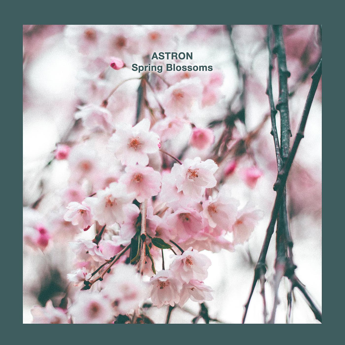 Постер альбома Spring Blossoms