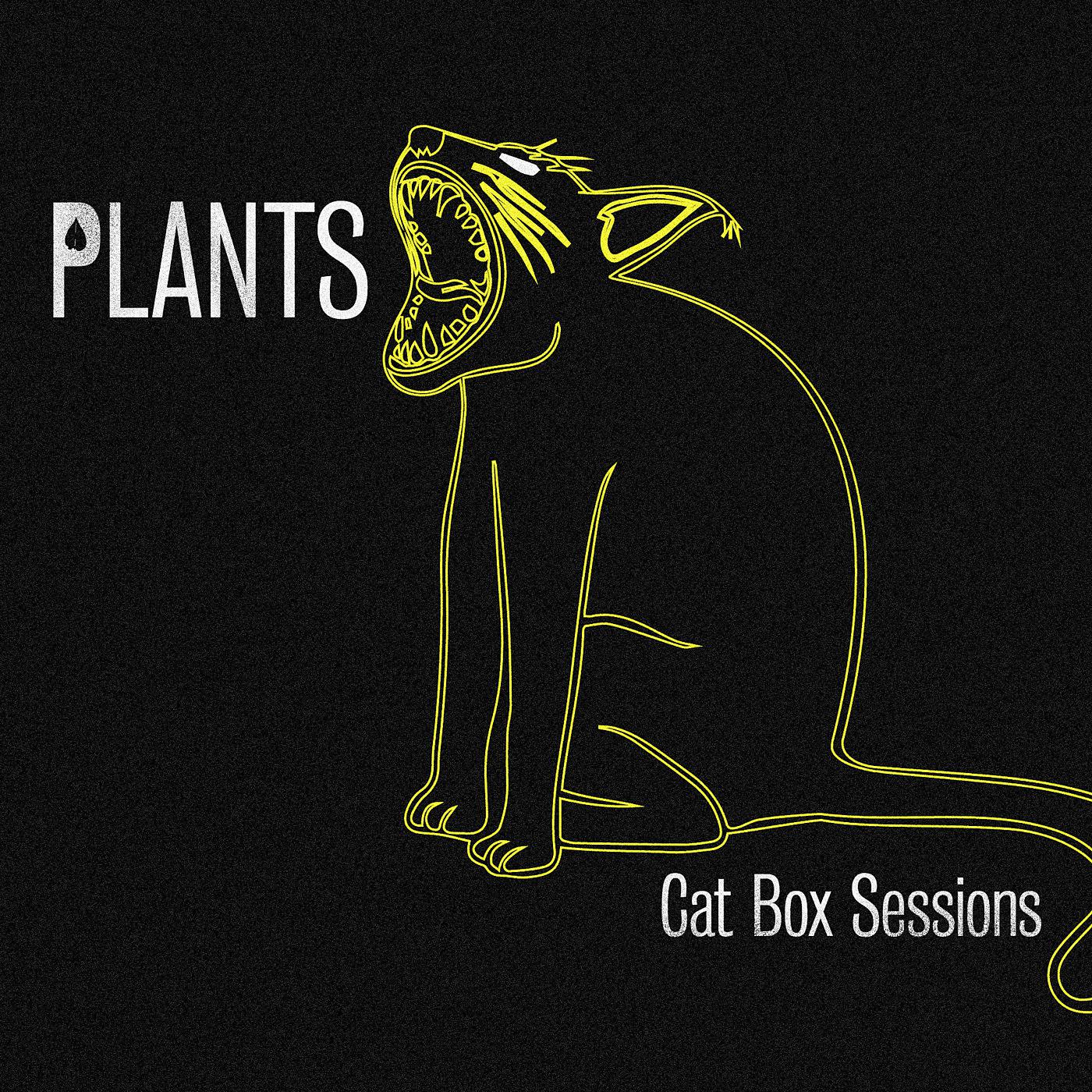Постер альбома Cat Box Sessions