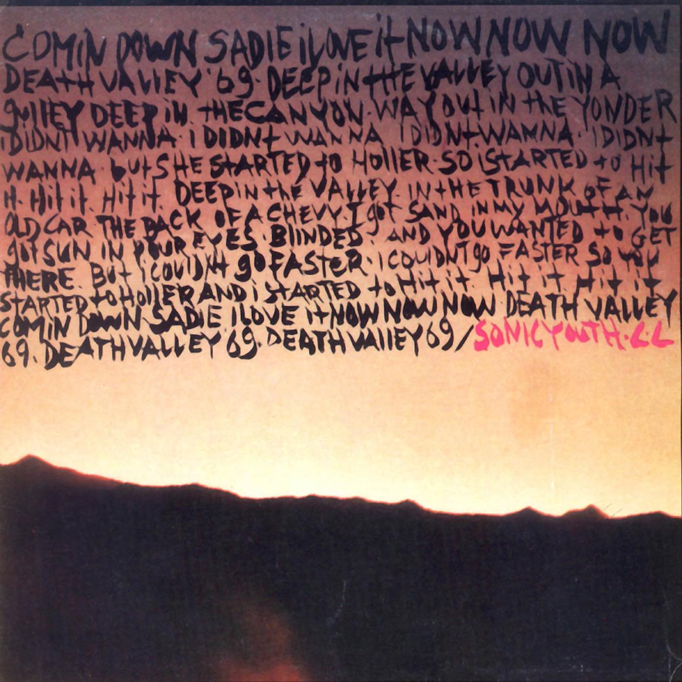 Постер альбома Death Valley '69 / Brave Men Run (In My Family)