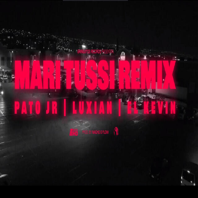 Pato Jr все песни слушать онлайн или скачать бесплатно