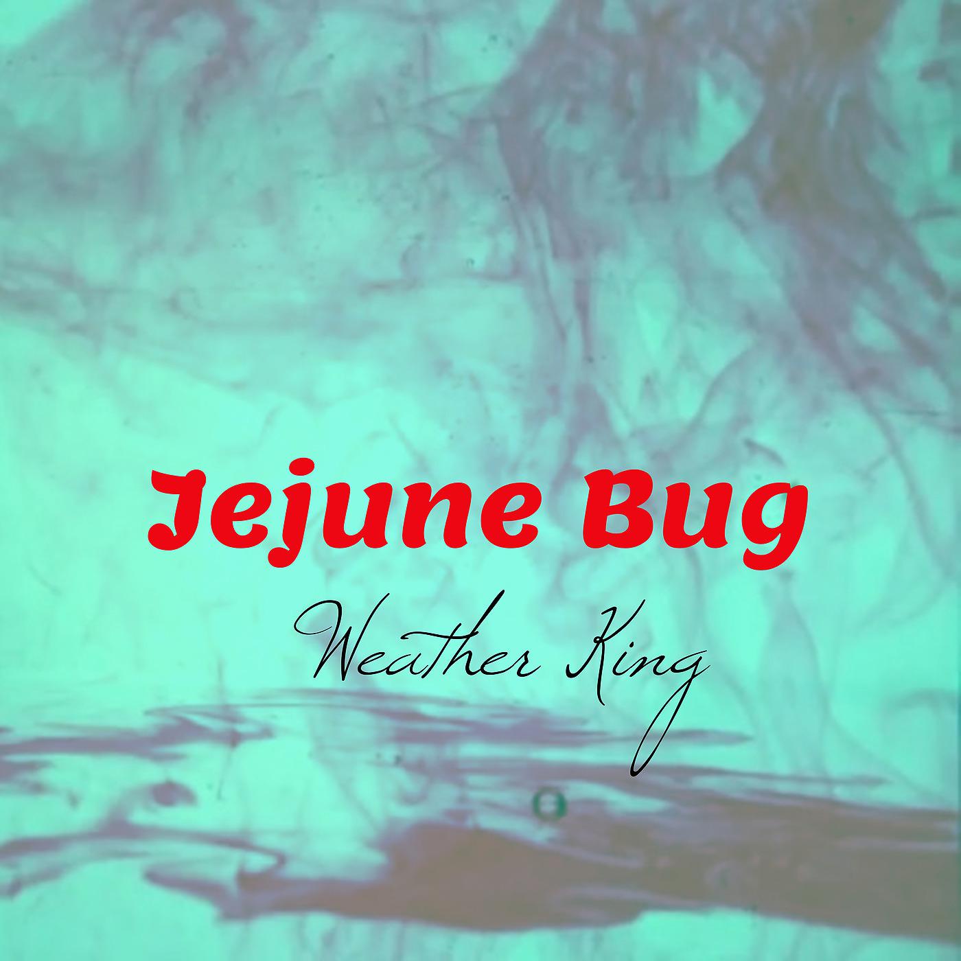 Постер альбома Jejune Bug