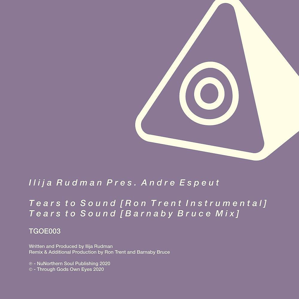 Ilija Rudman - Tears to Sound (Ron Trent Instrumental)