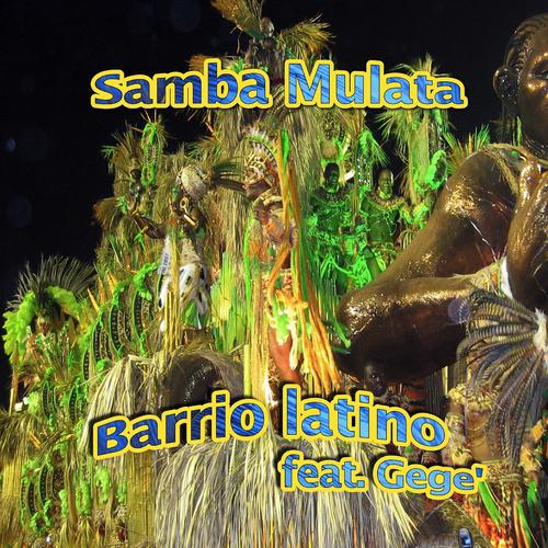 Постер альбома Samba mulata