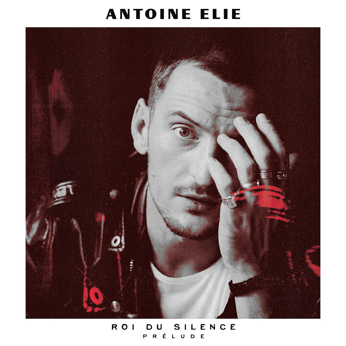 Antoine Elie - La rose et l'armure (Kadebostany remix)