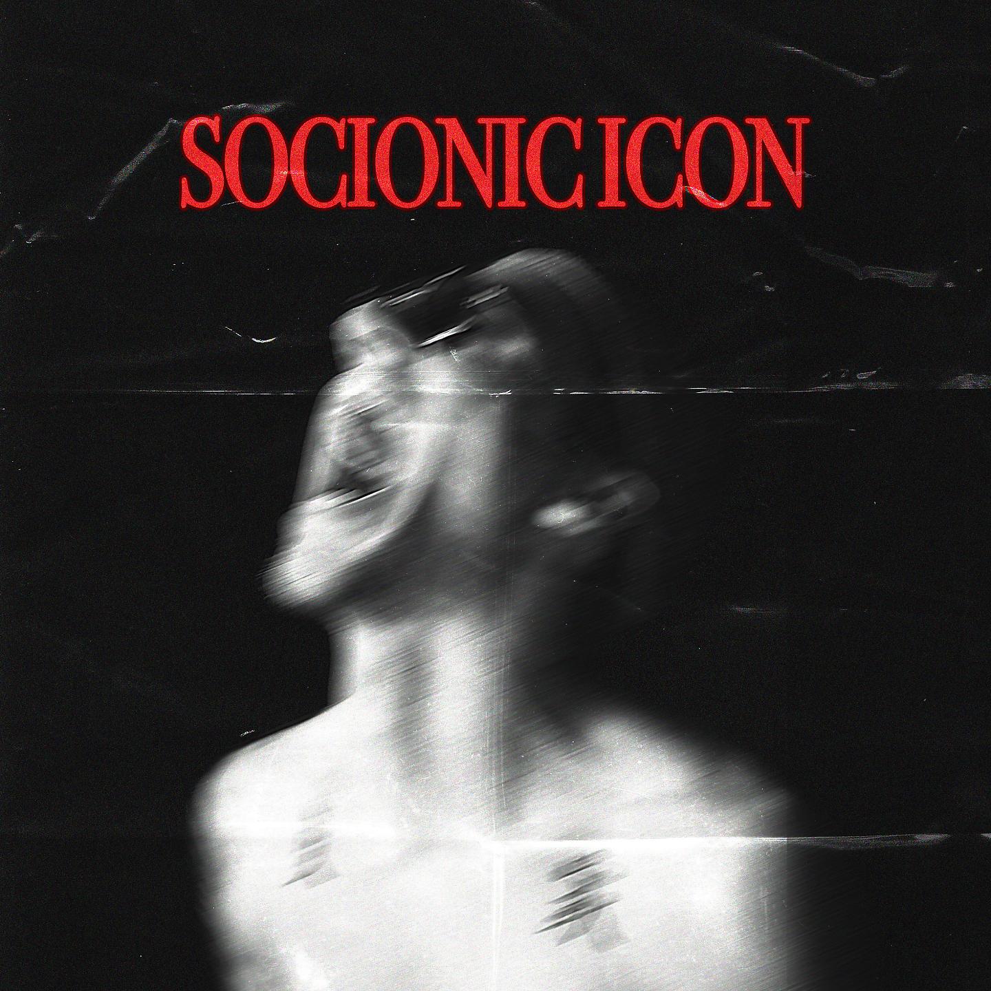 Постер альбома Socionic Icon