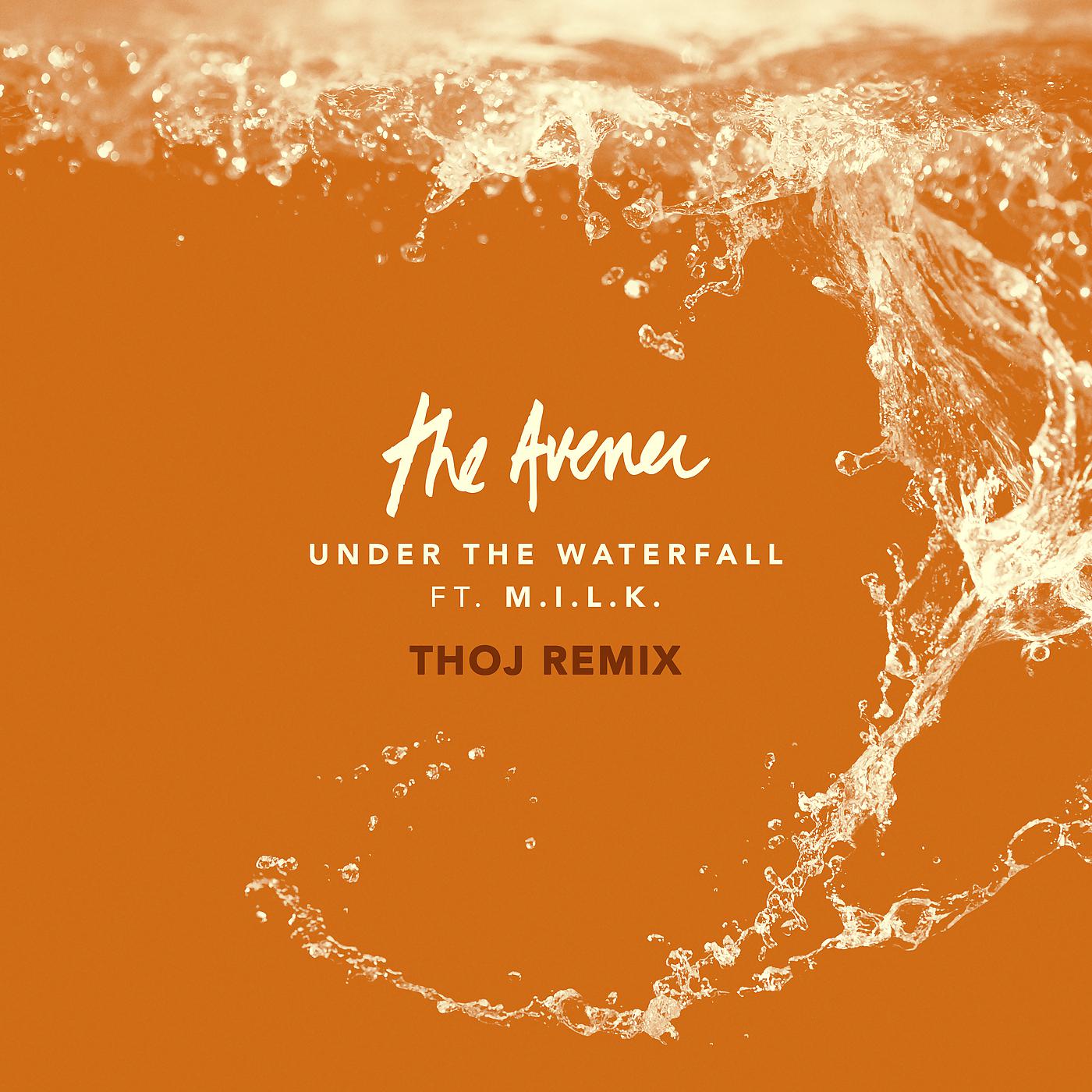 Постер альбома Under The Waterfall (Thoj Remix)