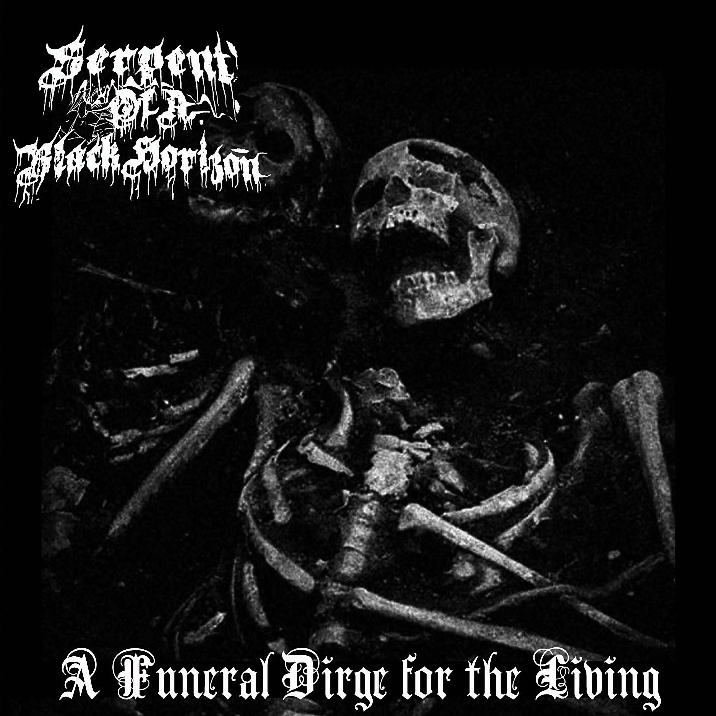 Serpent of a Black Horizon - The Cosmic Keys