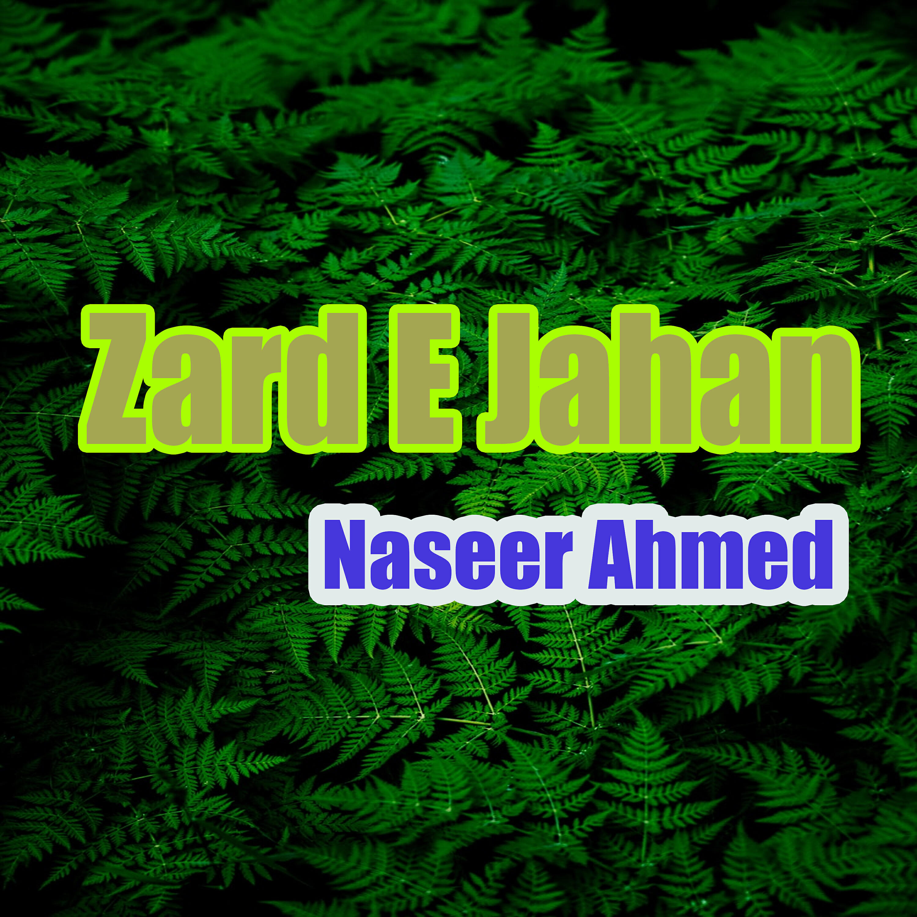 Naseer Ahmed - Che Zaanth Kase Dile