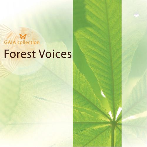 Постер альбома Gaia: Forest Voices