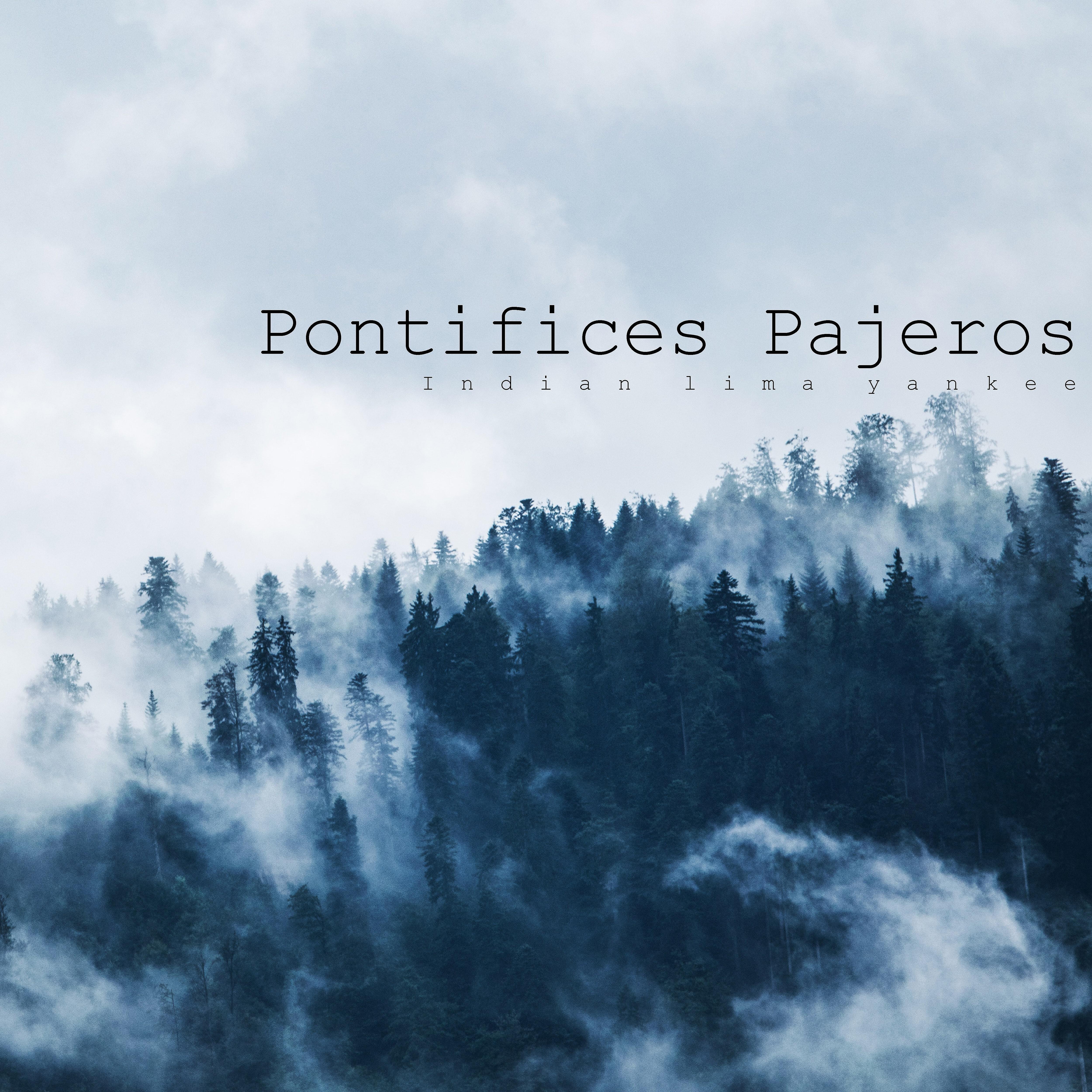Pontifices Pajeros - Portrait