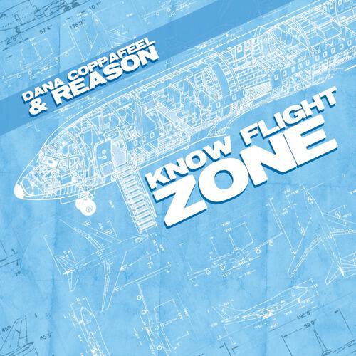 Dana Coppafeel and Reason - She Likes The View