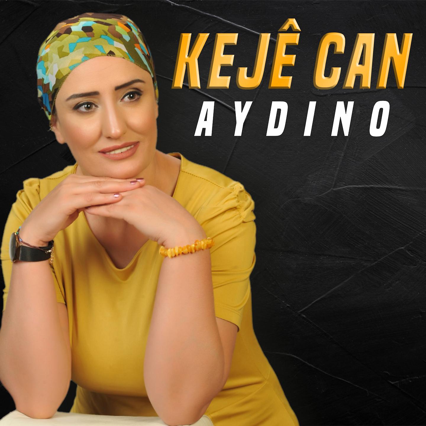 Постер альбома Aydîno
