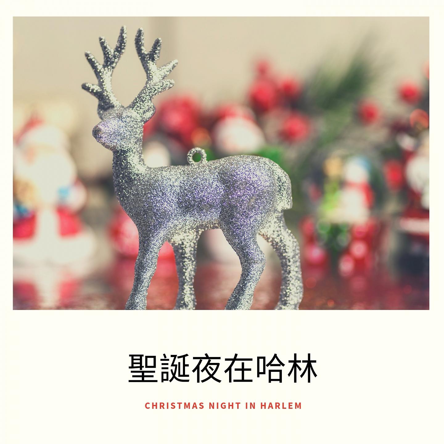 Постер альбома 聖誕夜在哈林