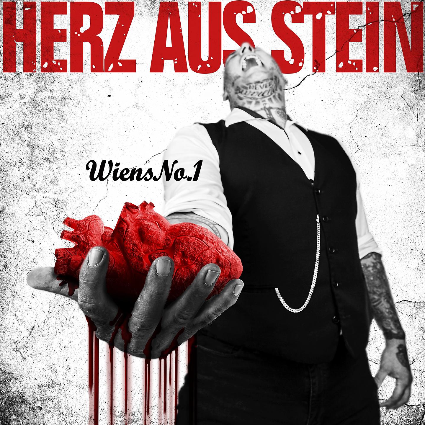 Постер альбома Herz aus Stein