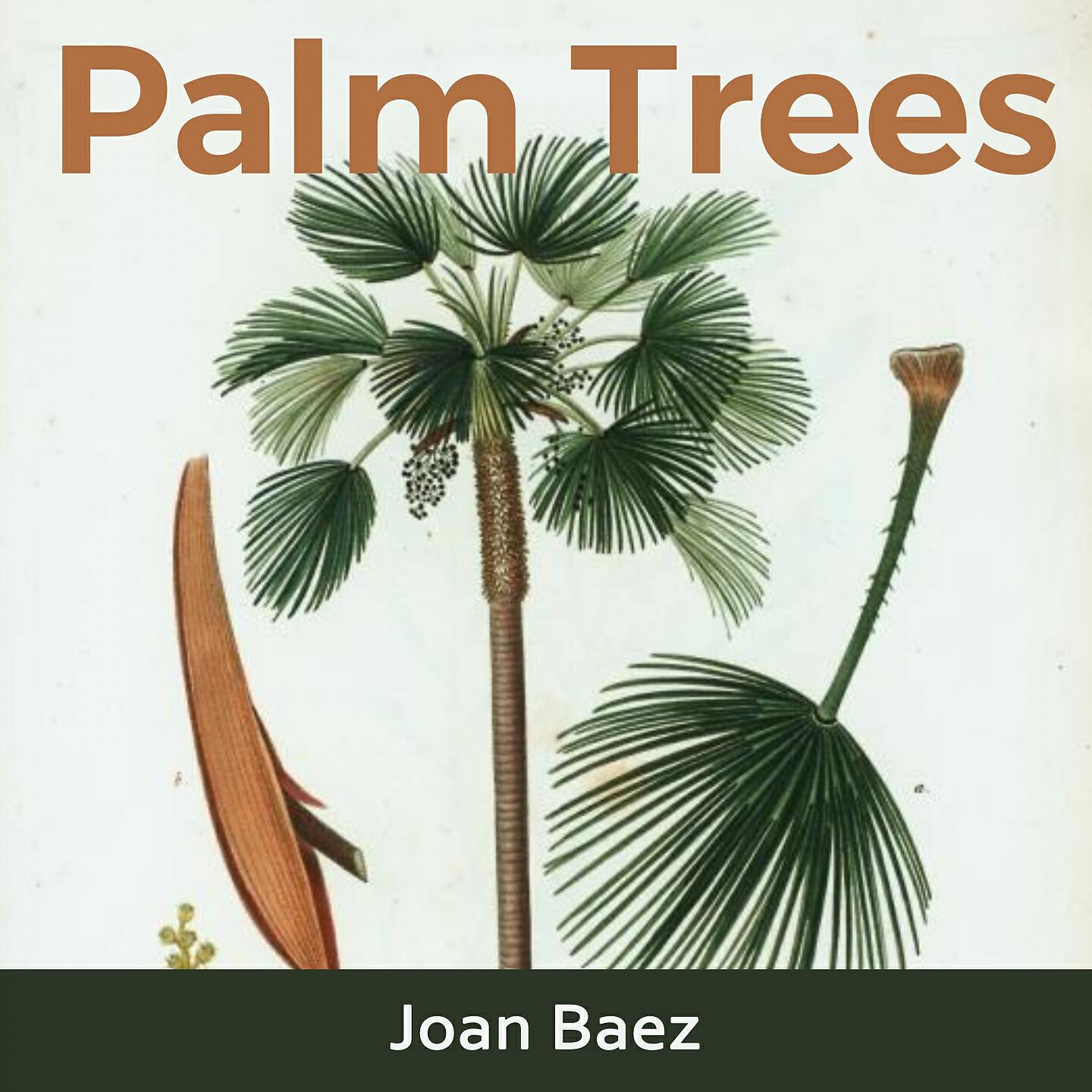 Joan Baez - Geordie
