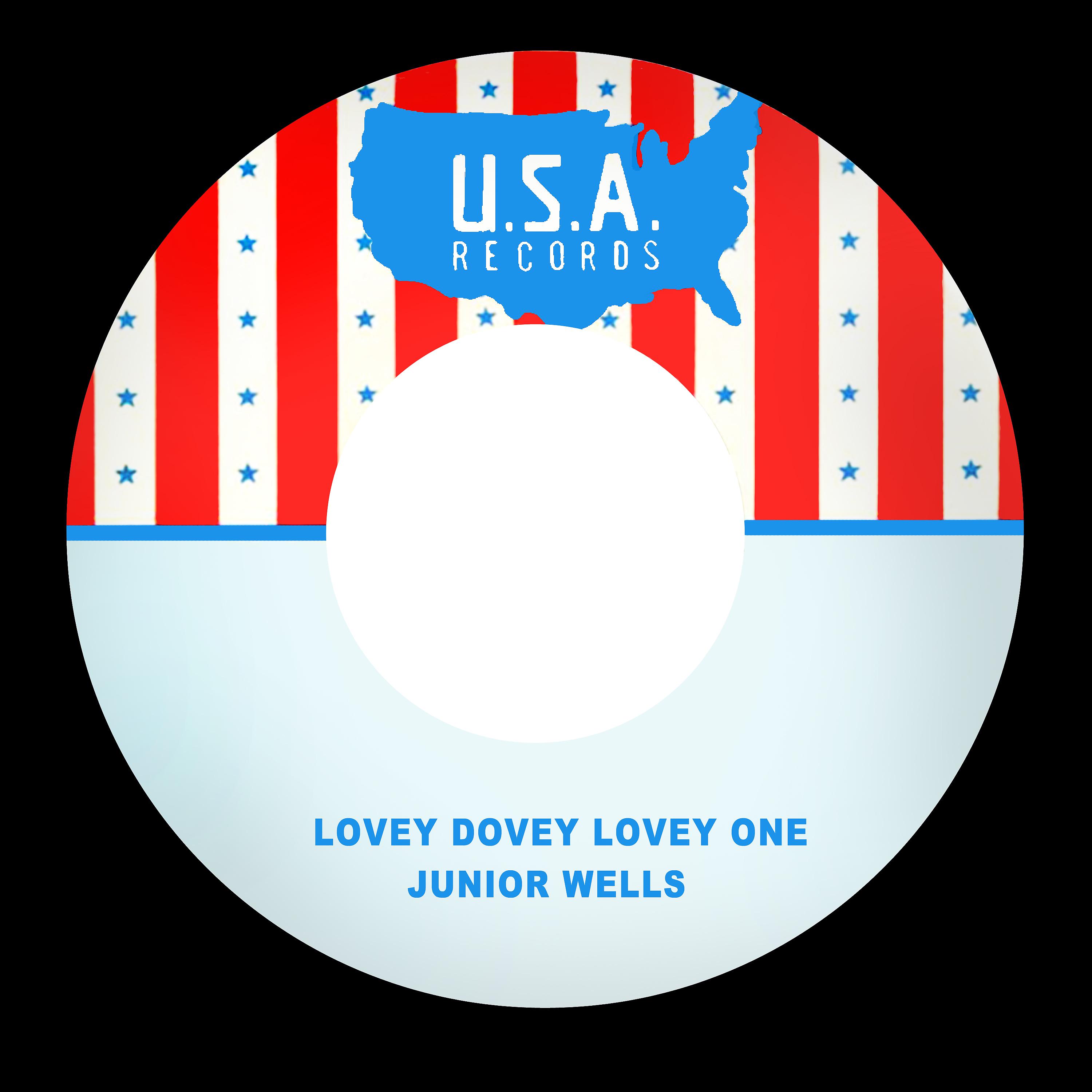 Постер альбома Lovey Dovey Lovey One