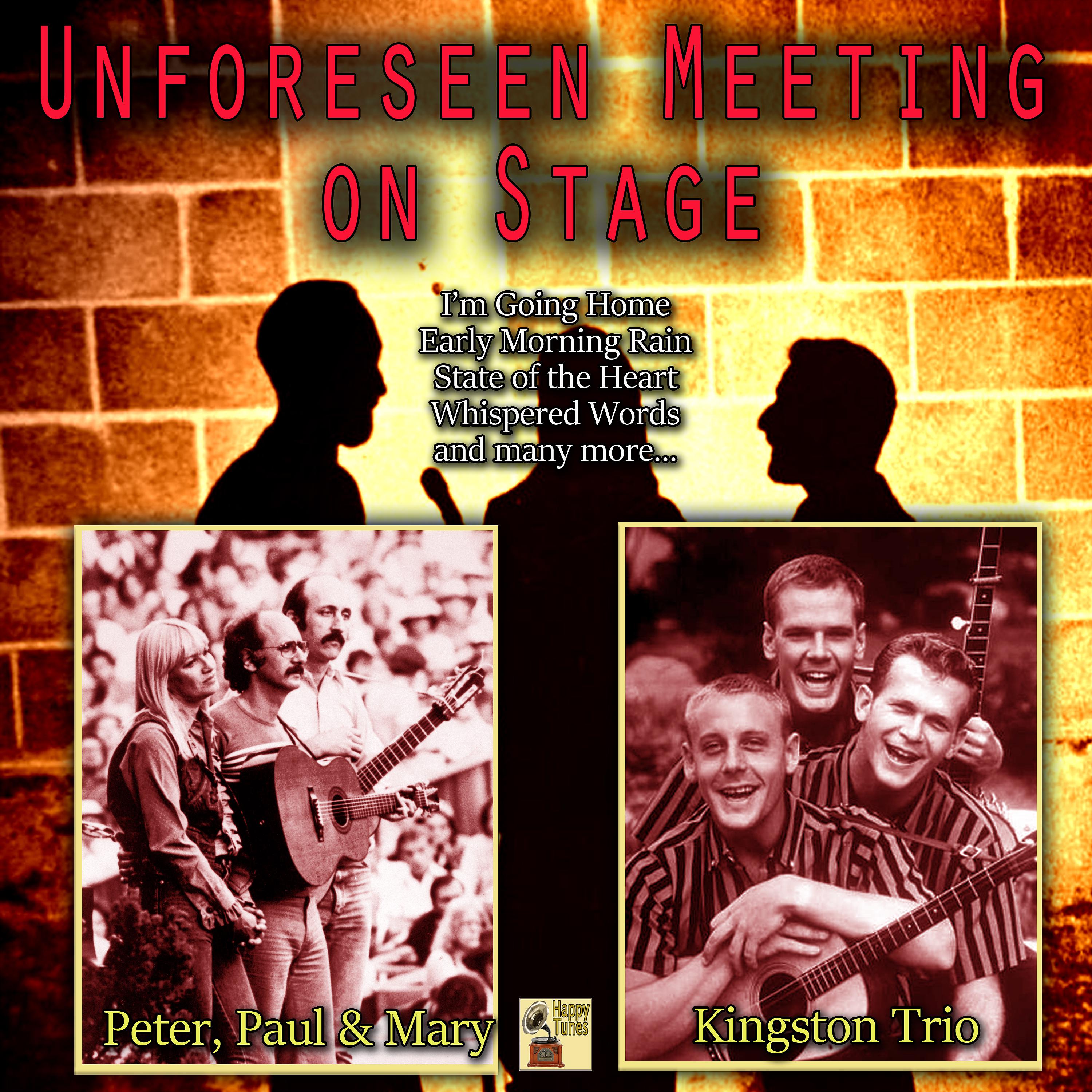 Постер альбома Unforeseen Meeting on Stage