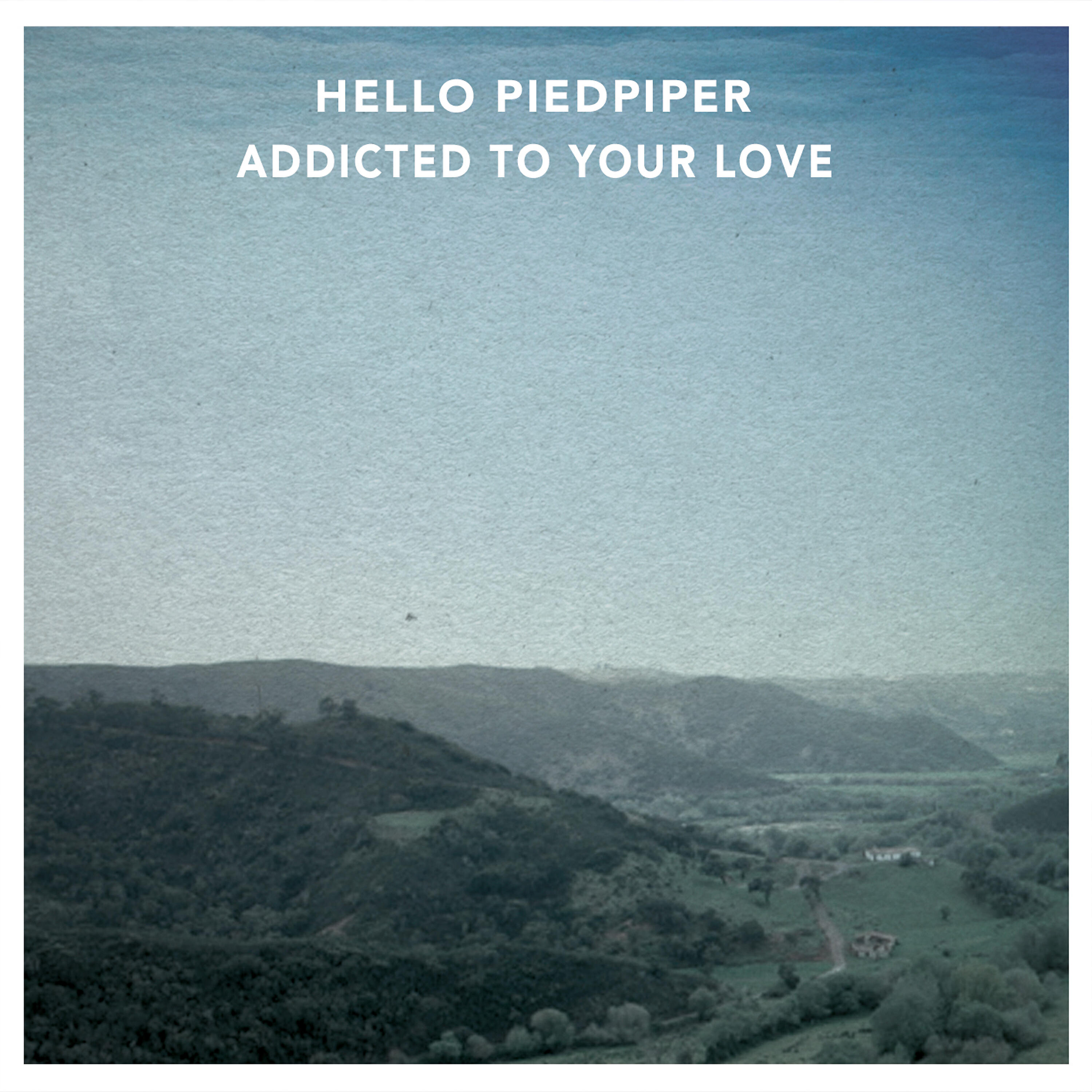 Hello Piedpiper - Addicted to Your Love