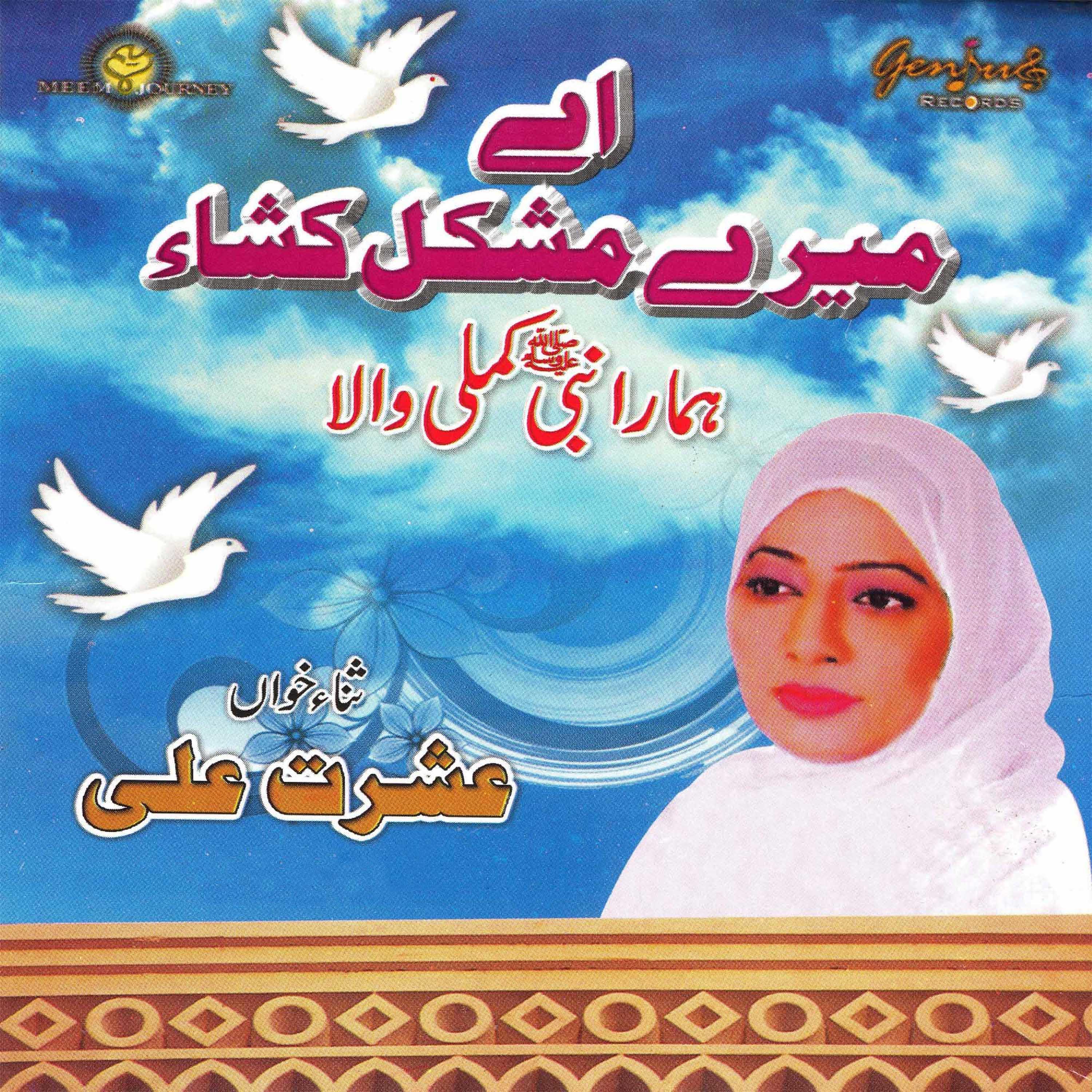 Постер альбома Ae Meray Mushkil Kusha