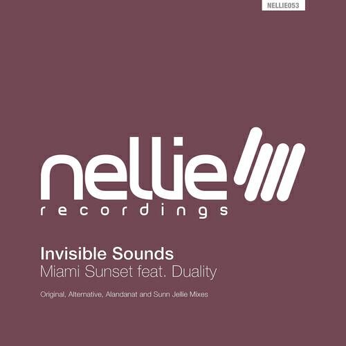 Invisible Sounds - Miami Sunset (Alandanat Remix)