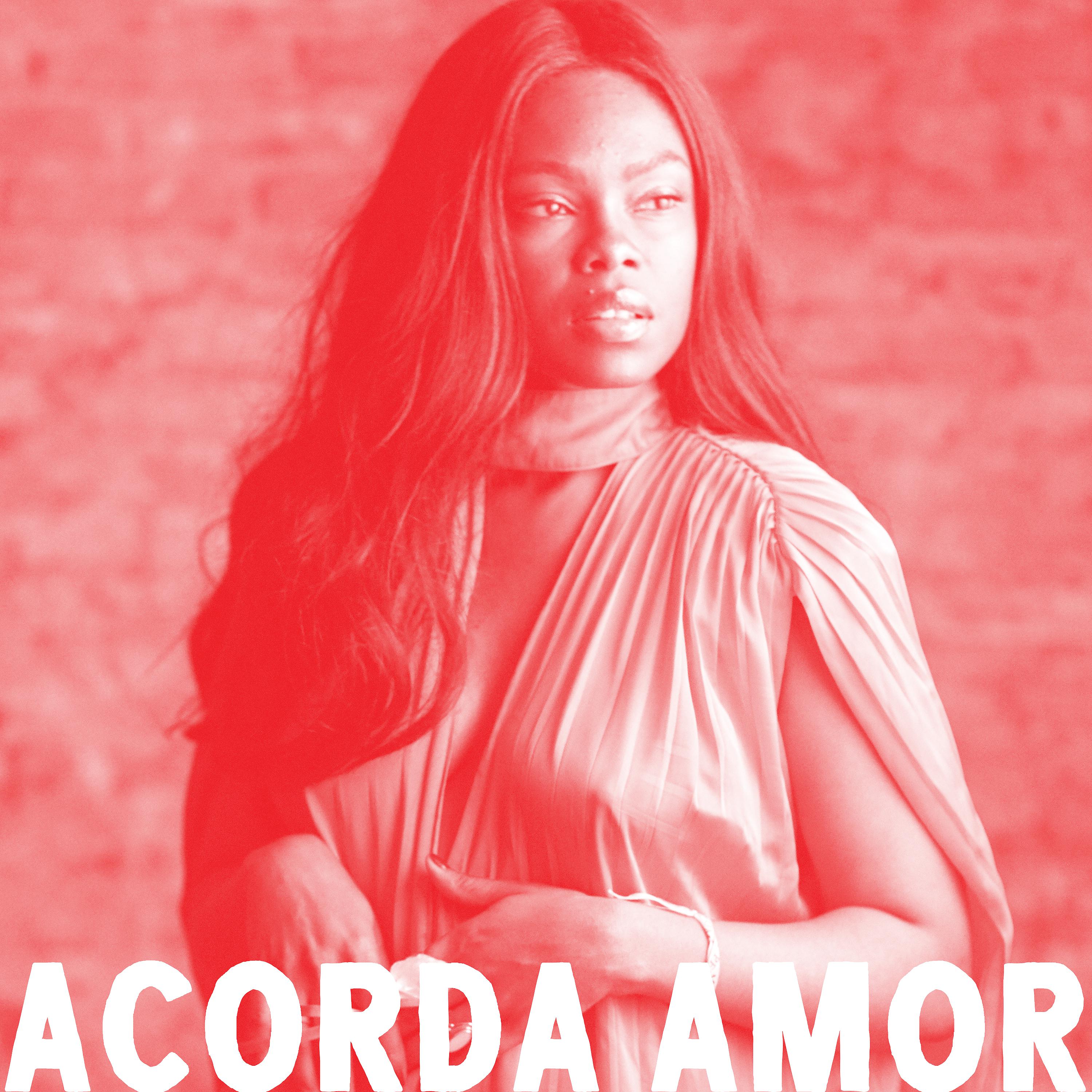 Постер альбома Deixa Eu Dizer - Acorda Amor