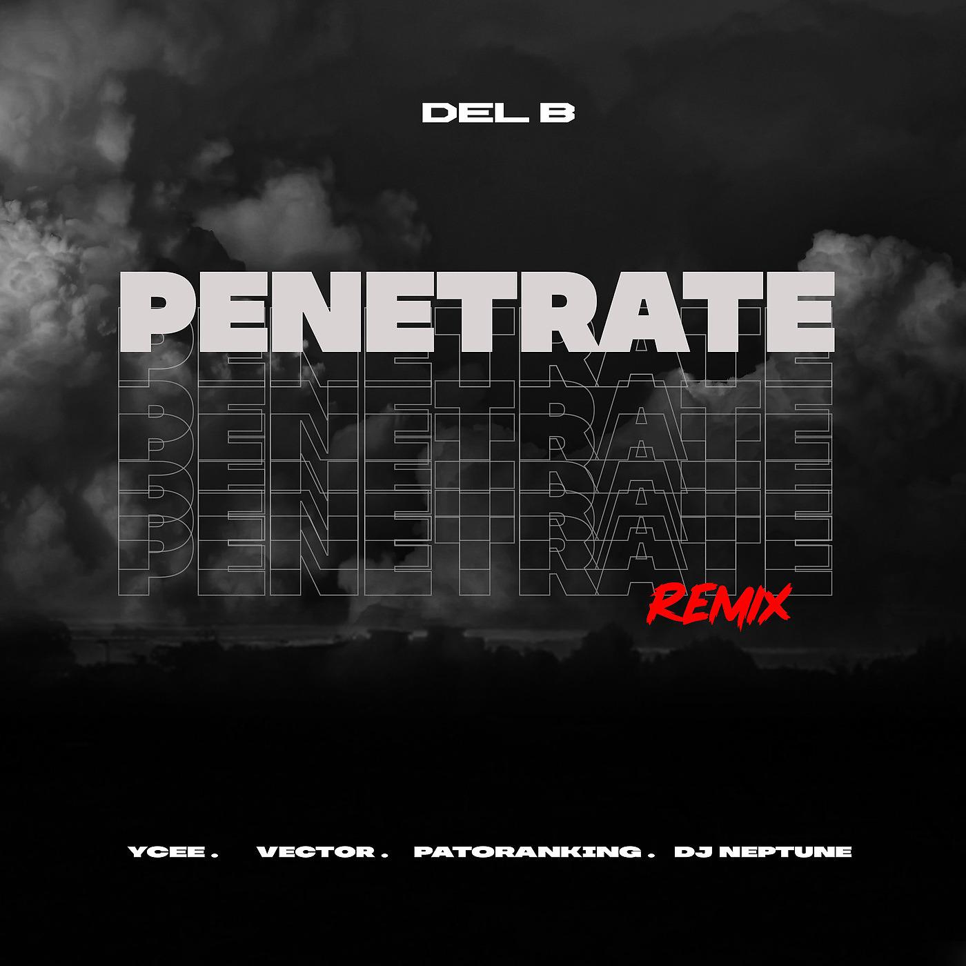 Постер альбома Penetrate (Remix)