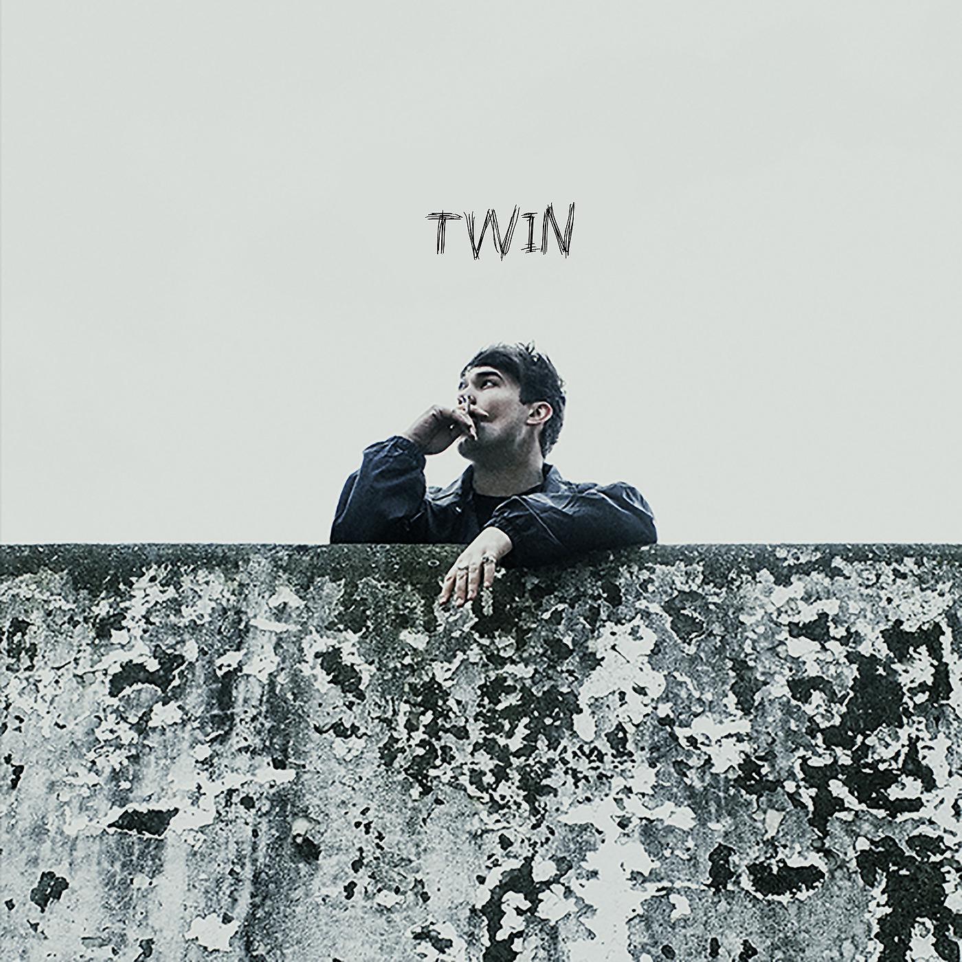 Постер альбома Twin