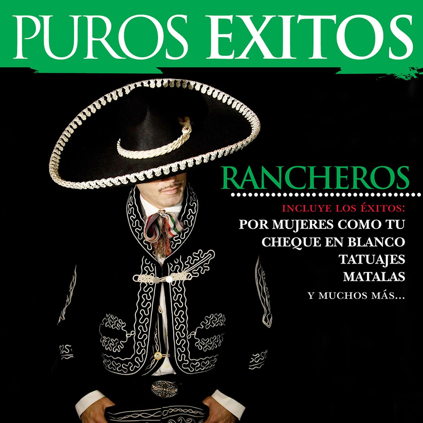 Постер альбома Puros Éxitos: Rancheros