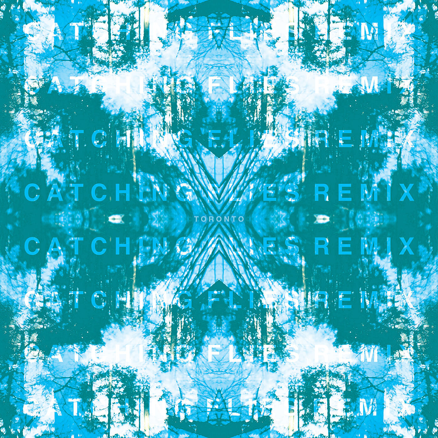 Tusks - Toronto (Catching Flies Remix)