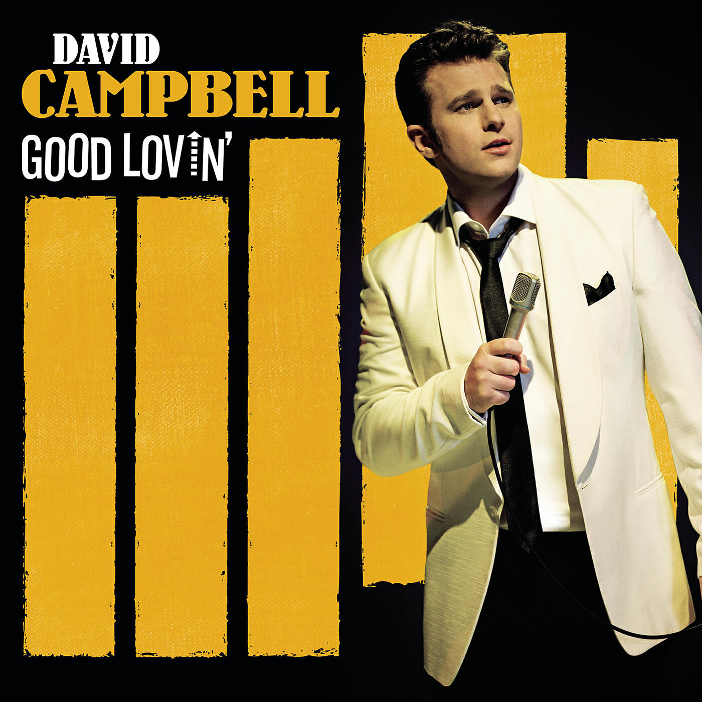 David Campbell - Since I Don't Have You