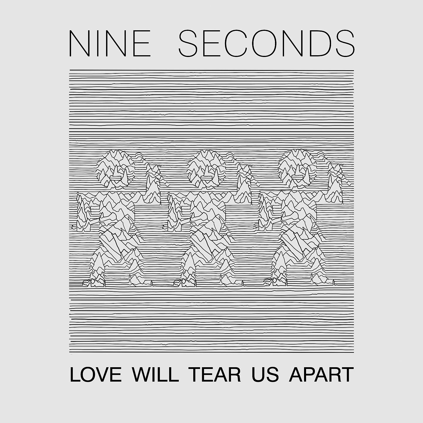 Постер альбома Love Will Tear Us Apart