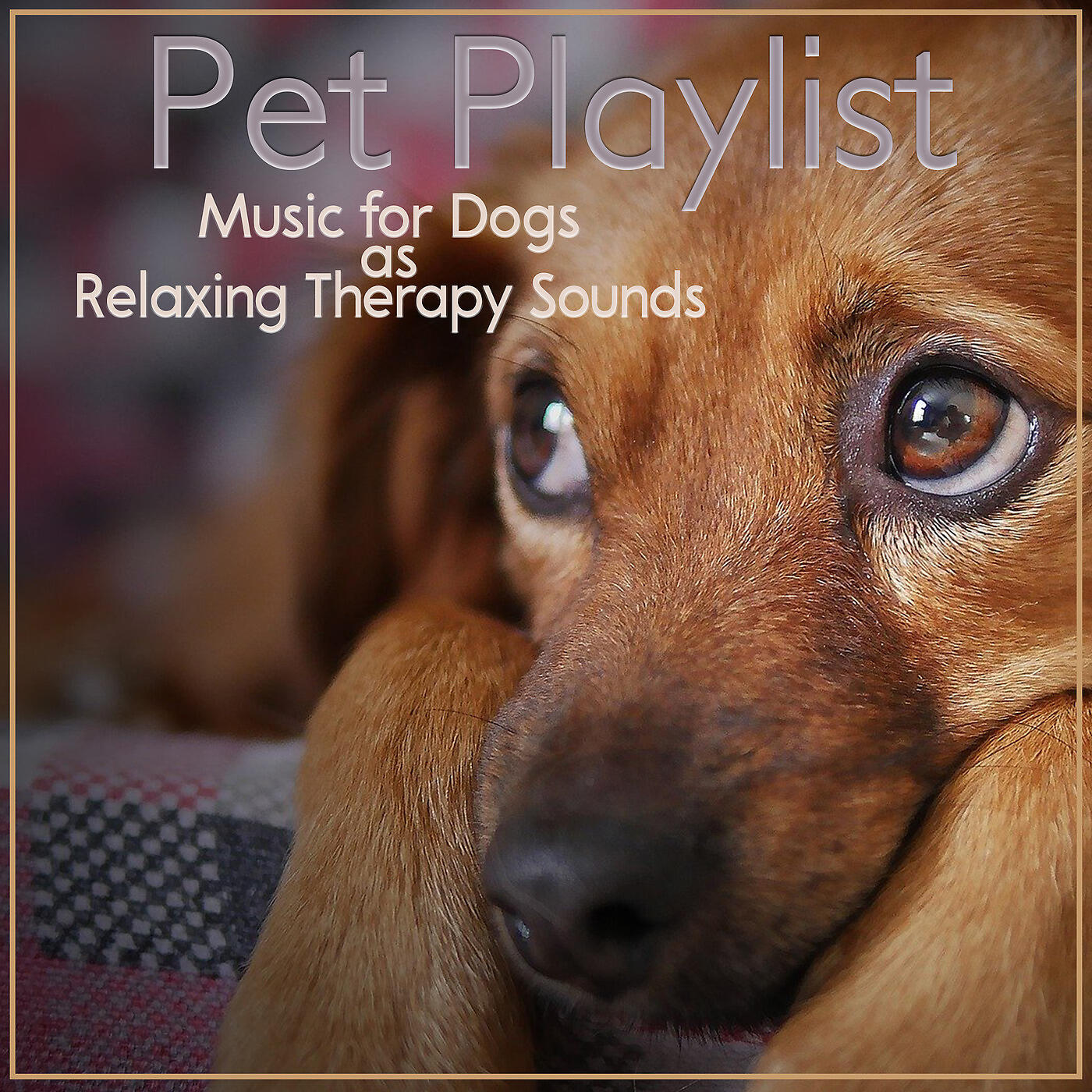 Dog Music Zone - Sunday Snooze
