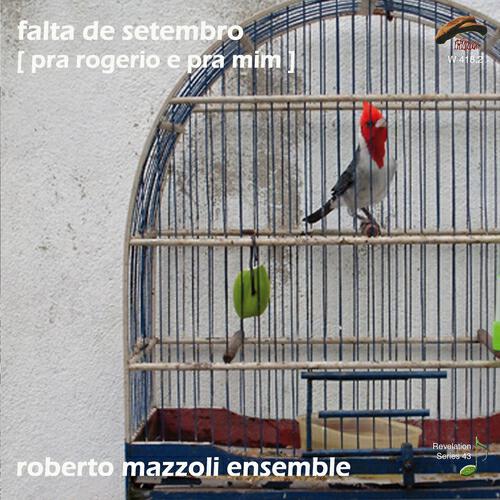 Roberto Mazzoli - Per sostenerti