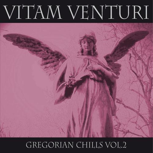 Постер альбома Gregorian Chills, Vol. 2