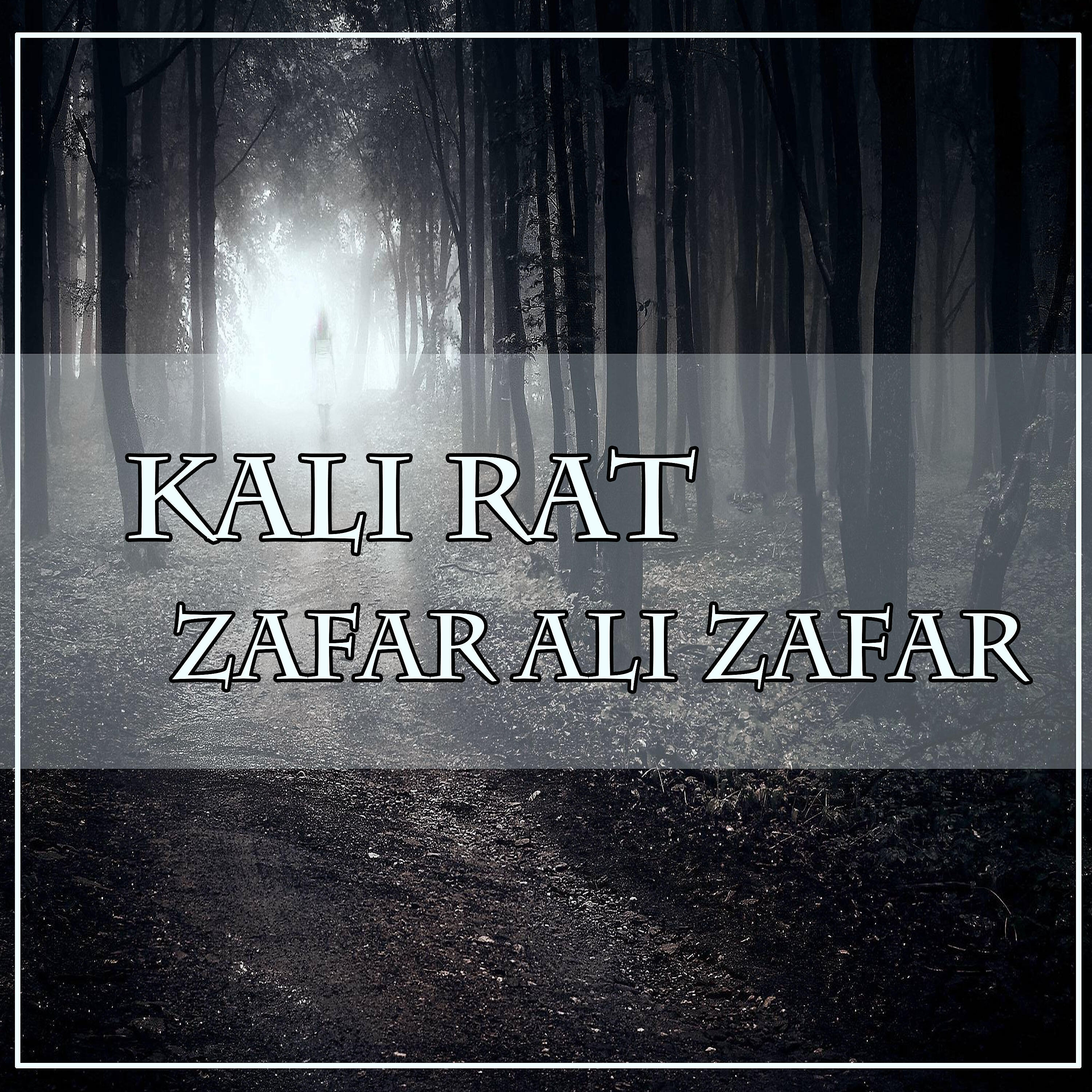 Zafar Ali Zafar - Sari Rat Langdi