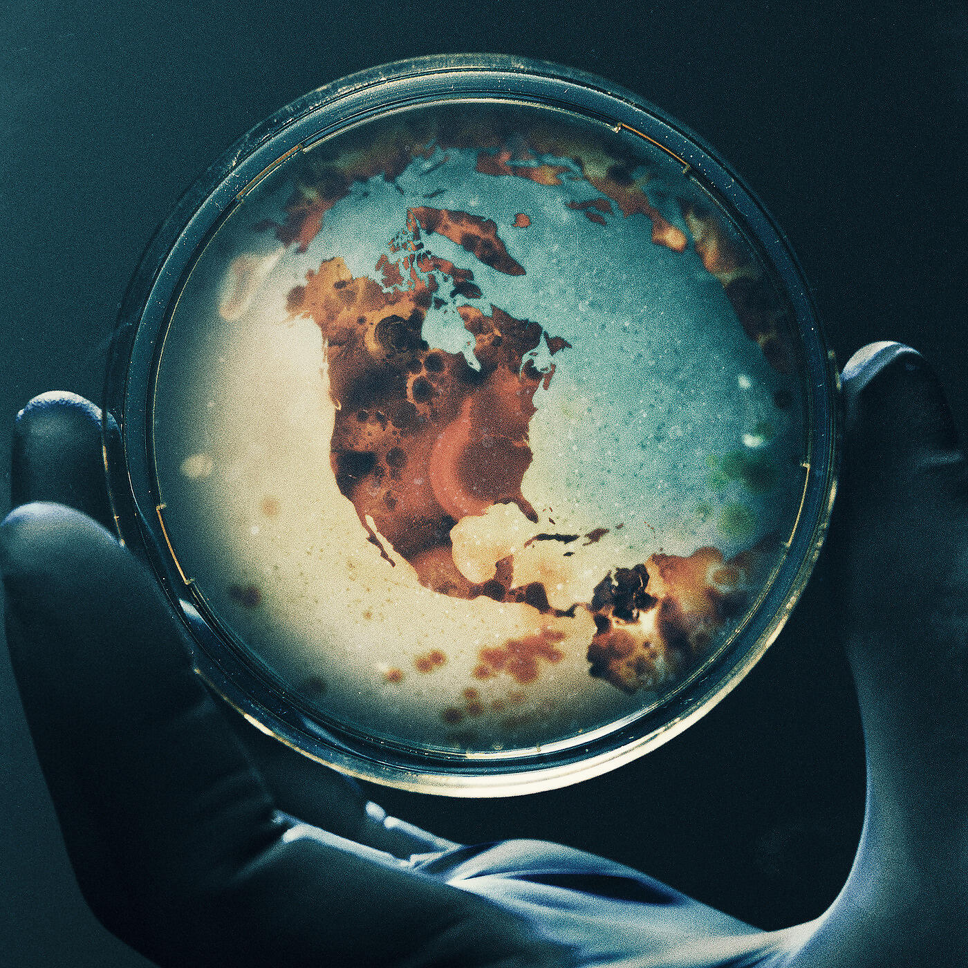 John Piscitello - The Petri Dish We Feared