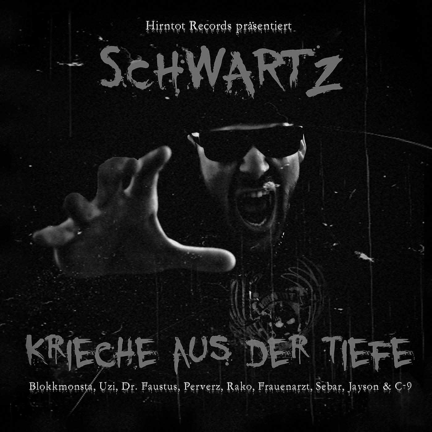 Постер альбома Krieche aus der Tiefe