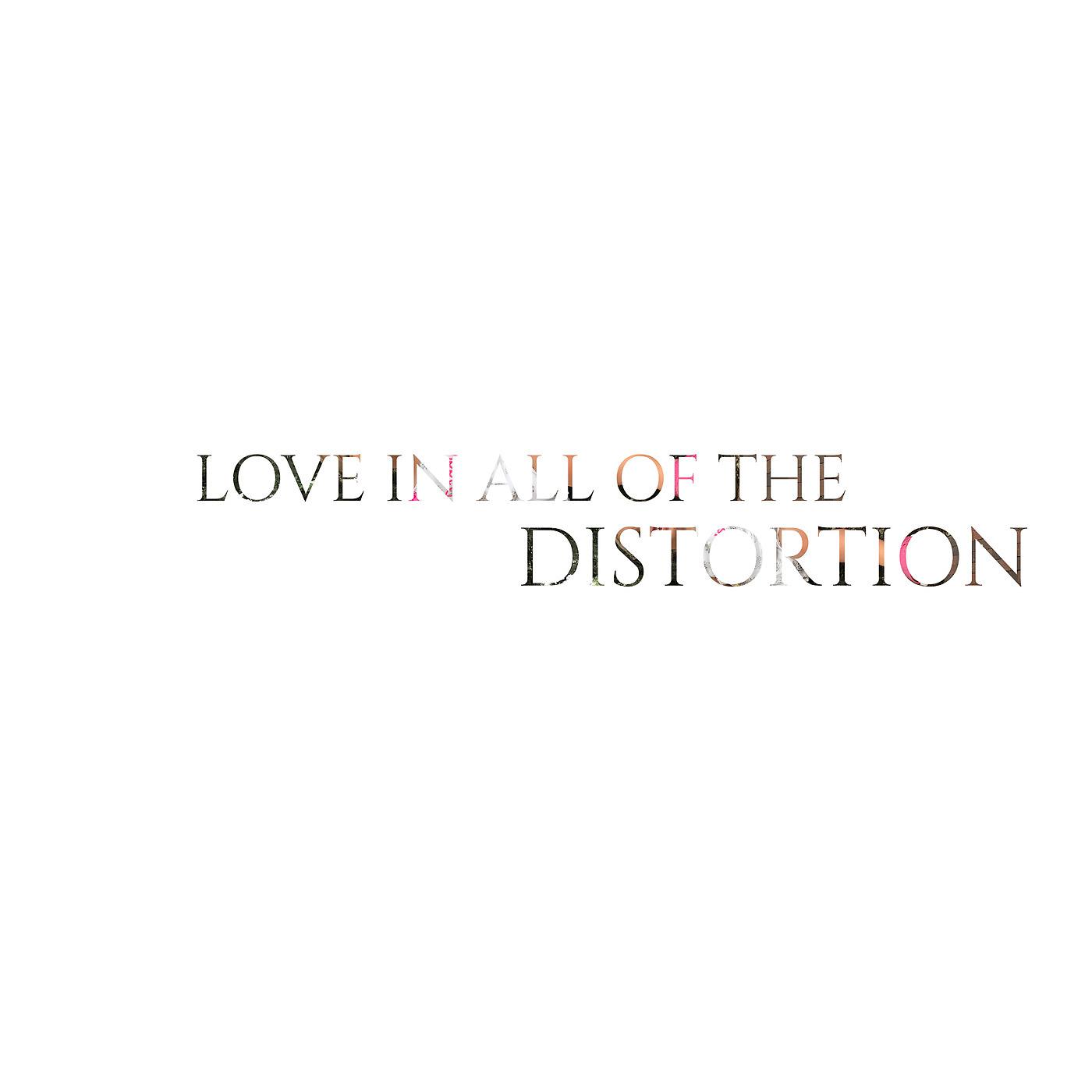 Постер альбома Love in All the Distortion