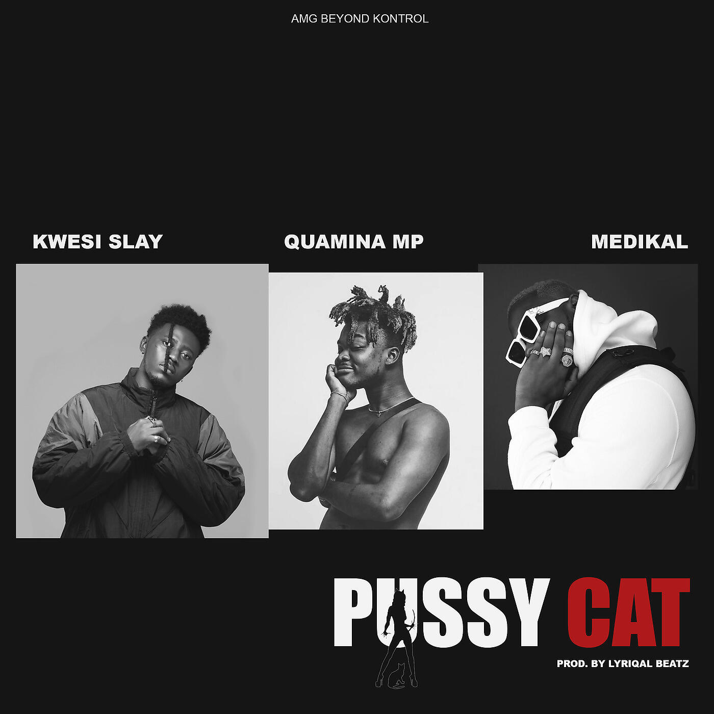 Kwesi Slay - Pussy Cat