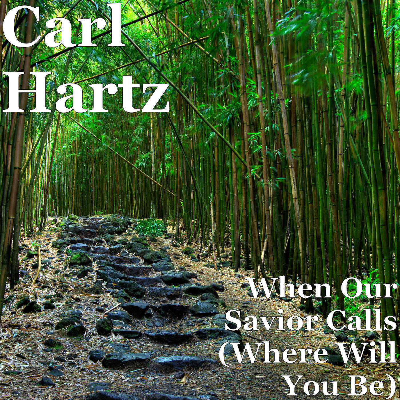Carl Hartz - When Our Savior Calls (Where Will You Be)