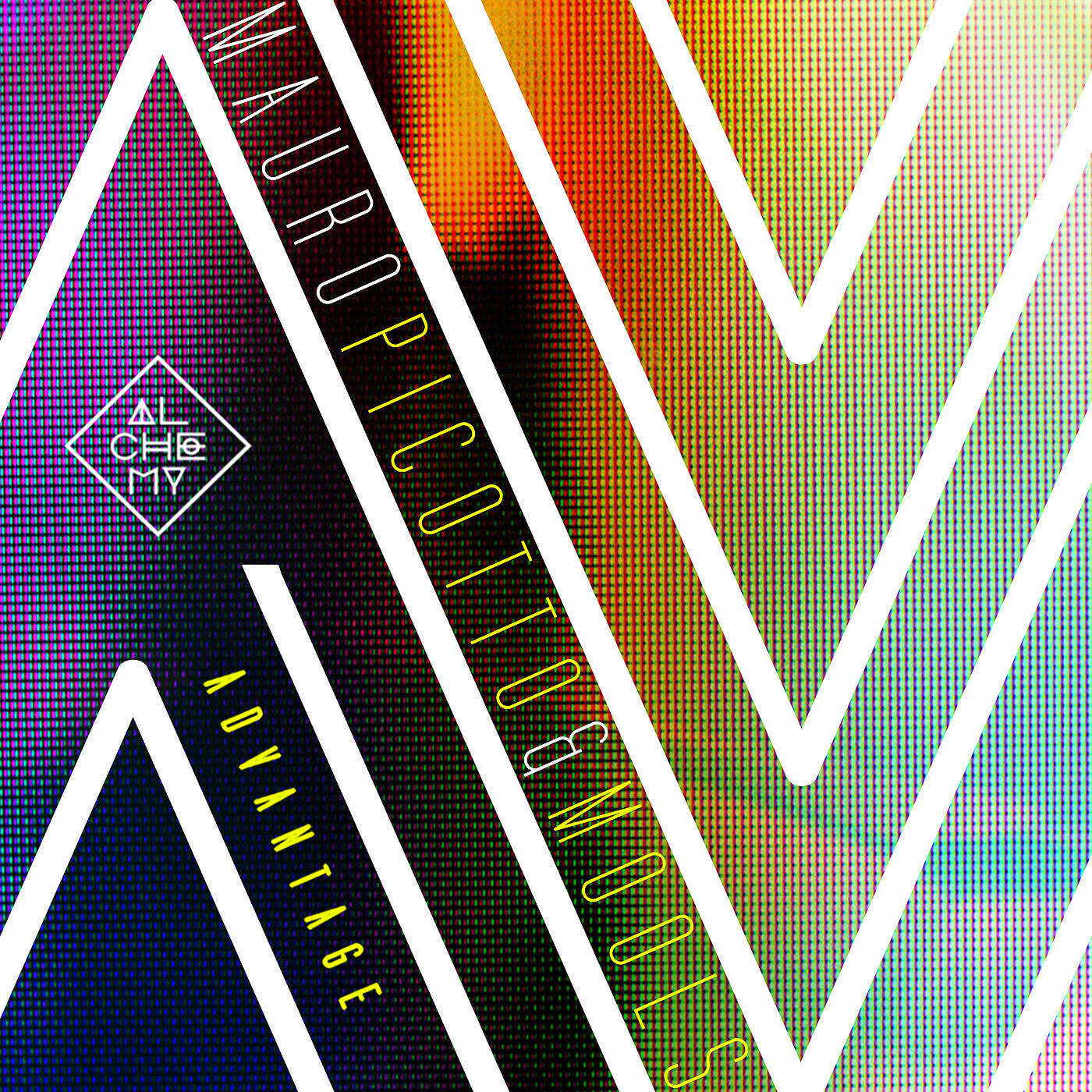Mauro Picotto - Advantage