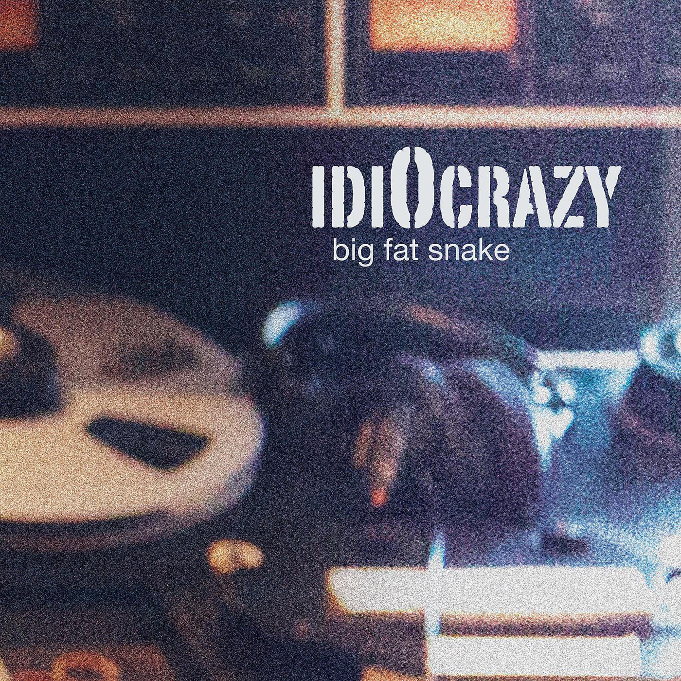 Постер альбома IdiOcrazy
