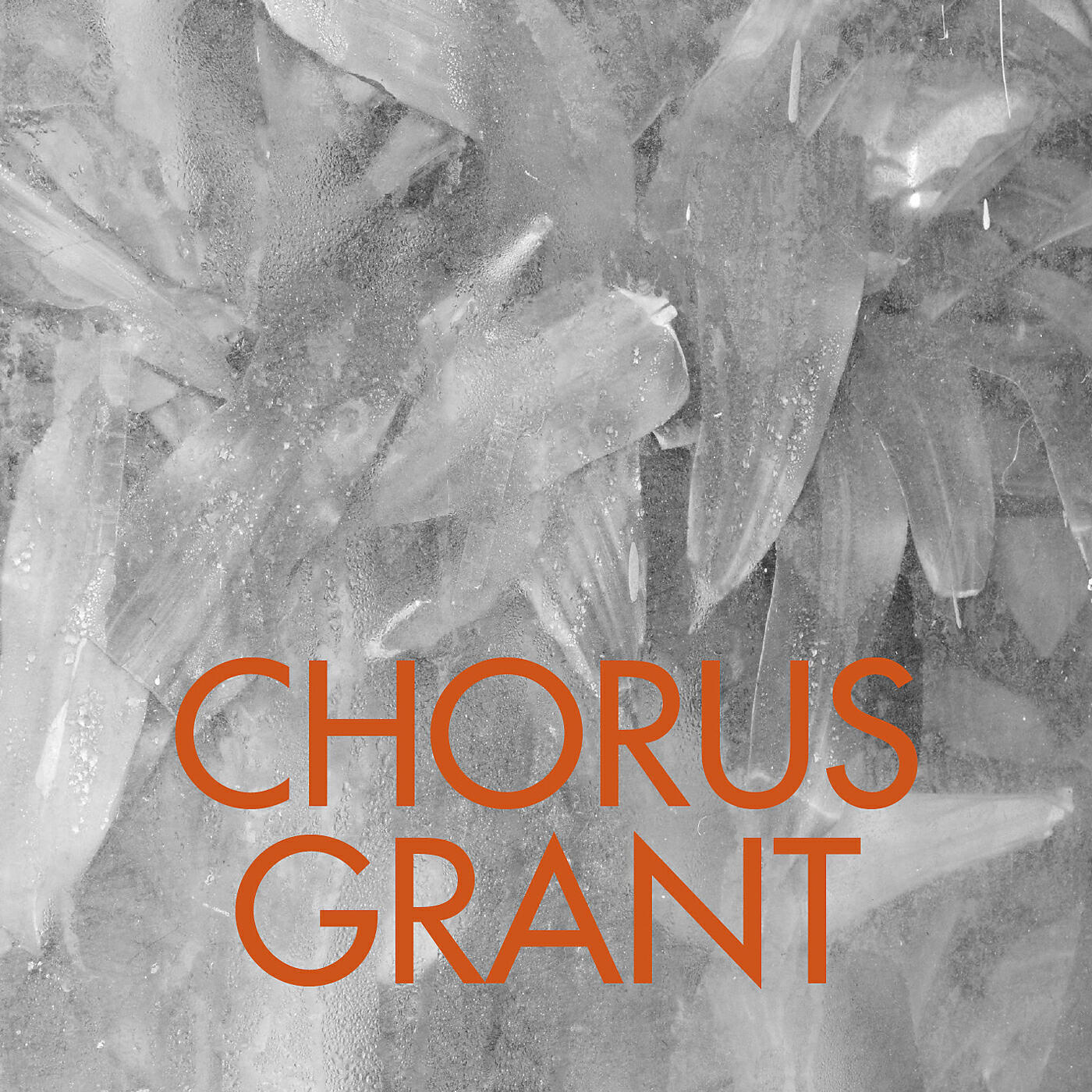 Chorus Grant - Tomadoze
