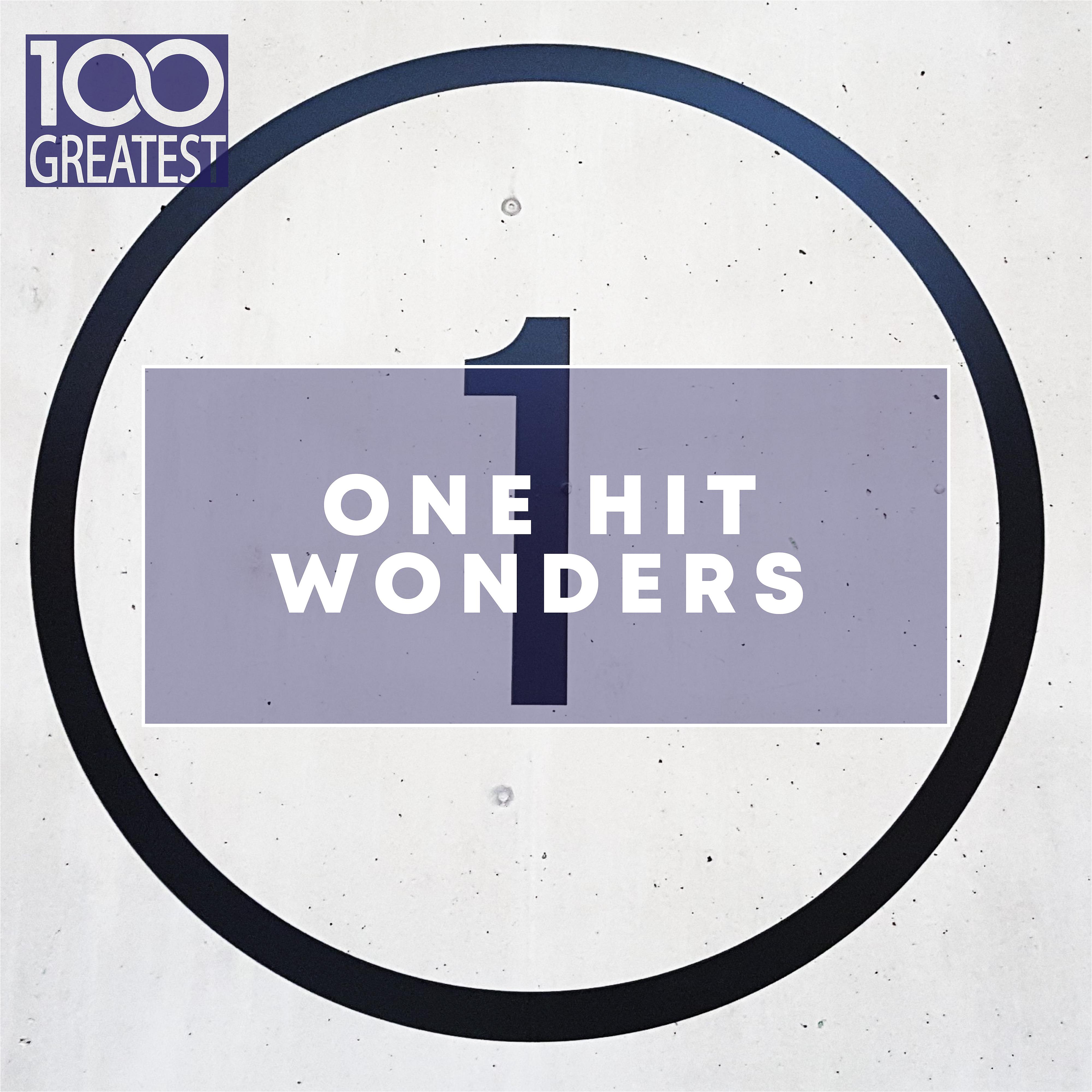 Постер альбома 100 Greatest One Hit Wonders